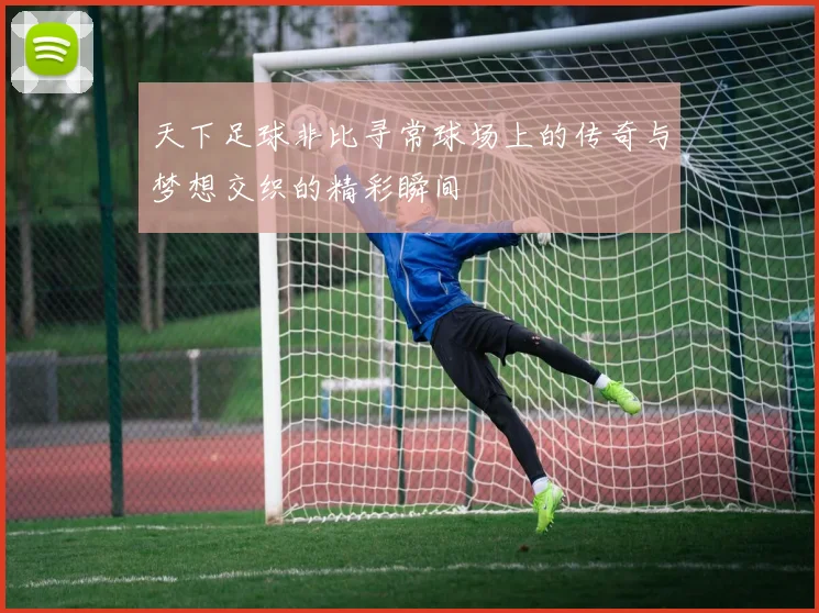 天下足球非比寻常球场上的传奇与梦想交织的精彩瞬间