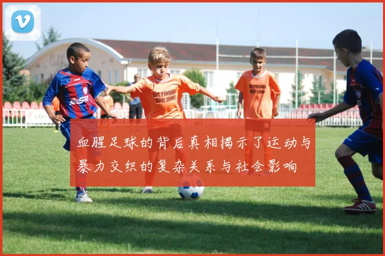 血腥足球的背后真相揭示了运动与暴力交织的复杂关系与社会影响