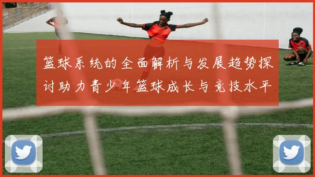 篮球系统的全面解析与发展趋势探讨助力青少年篮球成长与竞技水平提升