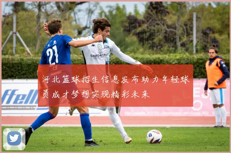 河北篮球招生信息发布助力年轻球员成才梦想实现精彩未来