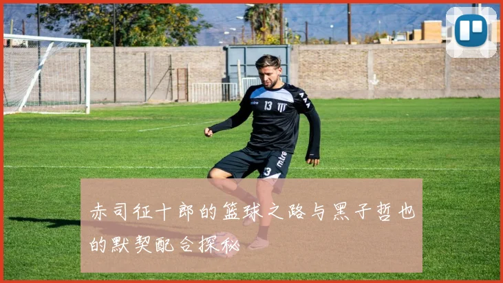 赤司征十郎的篮球之路与黑子哲也的默契配合探秘