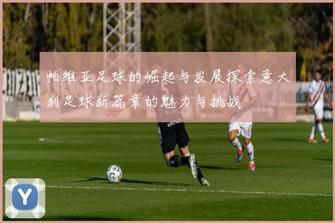 帕维亚足球的崛起与发展探索意大利足球新篇章的魅力与挑战