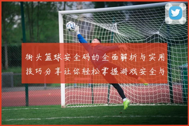 街头篮球安全码的全面解析与实用技巧分享让你轻松掌握游戏安全与乐趣